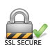 SSL 256-bit Secure